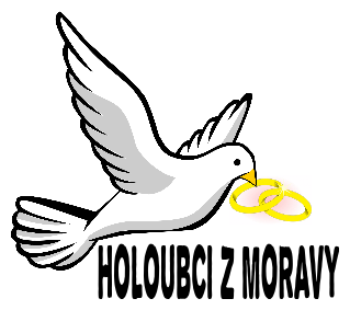 Holubi Morava